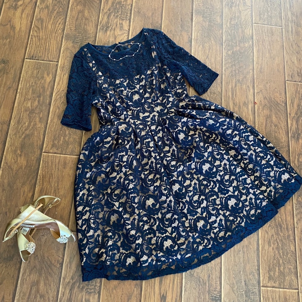 Adrianna Papell navy blue lace fit and flare dress